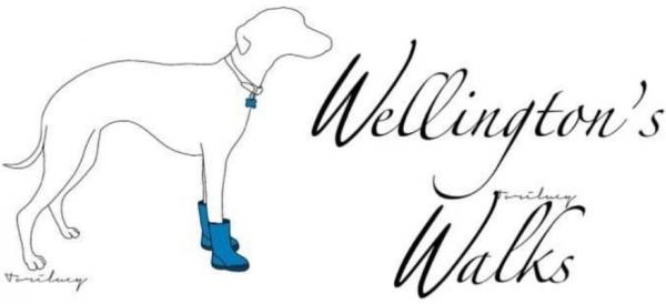 Wellington's Walks