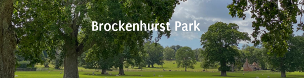 Brockenhurst Park