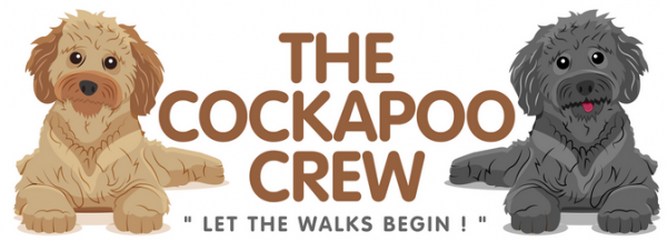 The Cockapoo Crew