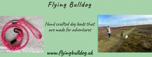 Flying Bulldog