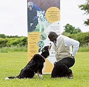 D.Garricques Puppy and Dog Training Foundations