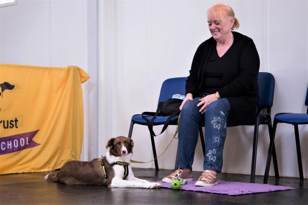 Dog School Sussex (Dogs Trust)