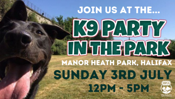 K9 Party In The Park 2022 - Sunday July 3rd 12-5pm