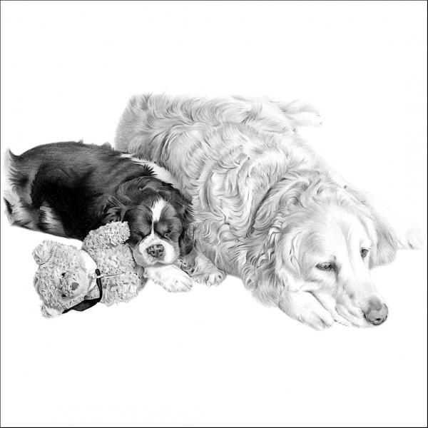 Drawing of Dogs with Teddy Bear