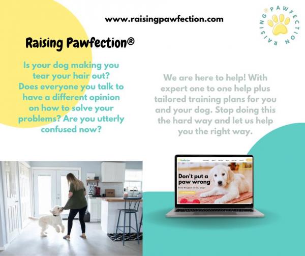 Raising Pawfection LTD