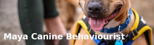 Maya Canine Behaviourist